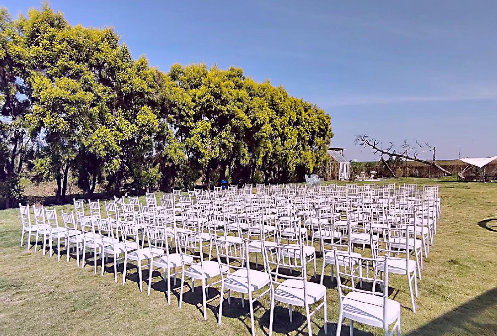 竹節(jié)椅租賃2