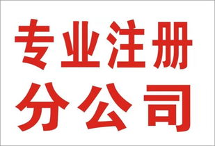 重慶南岸財務(wù)代理代賬與會計審計服務(wù)的價值解析